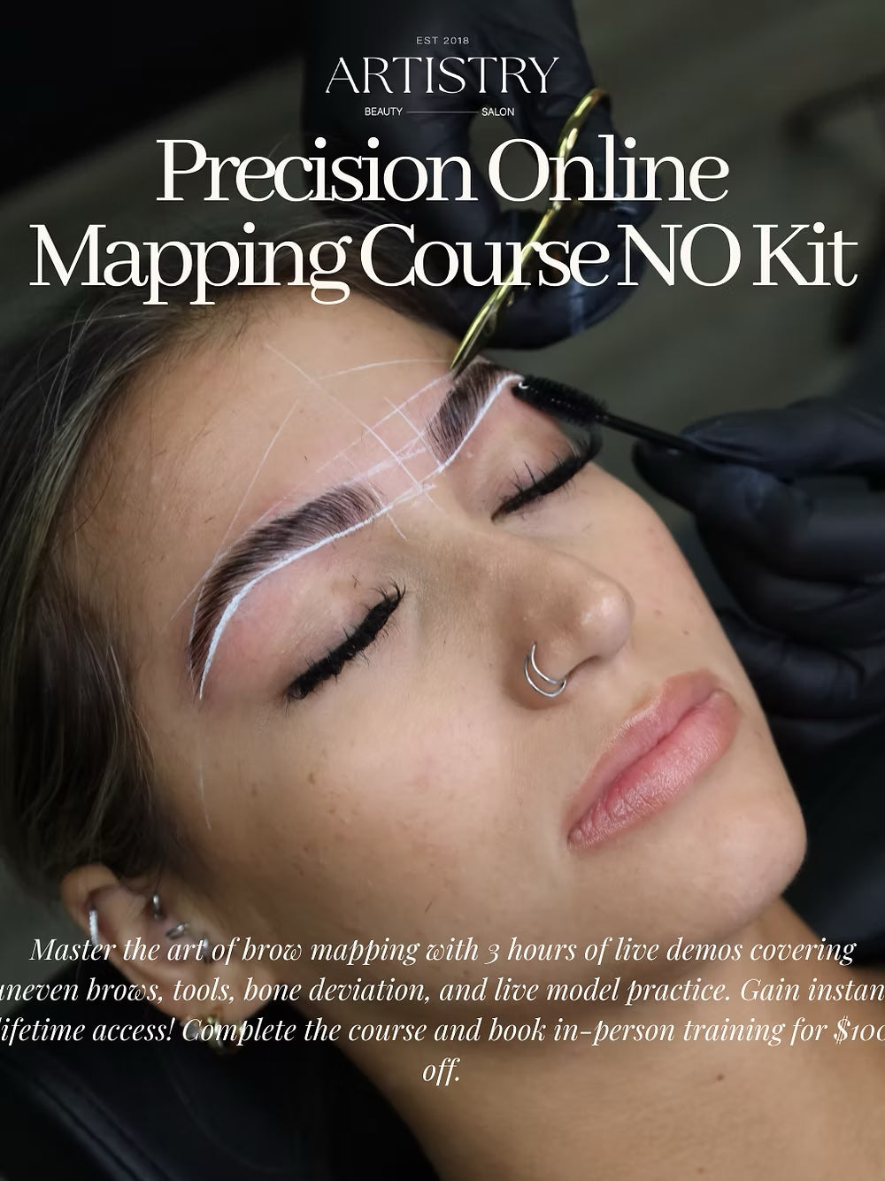 Precision Online Mapping Course NO KIT