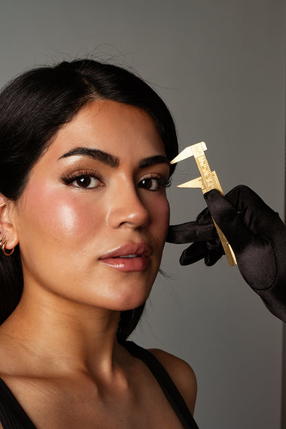 PROArtist Brow Lamination & Tint Kit
